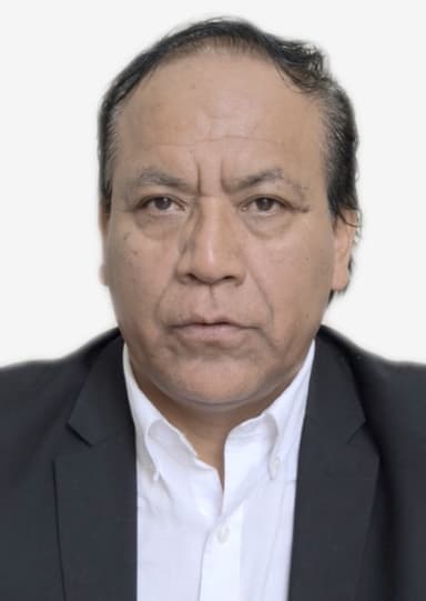 Roberto Helbert Sanchez Palomino
